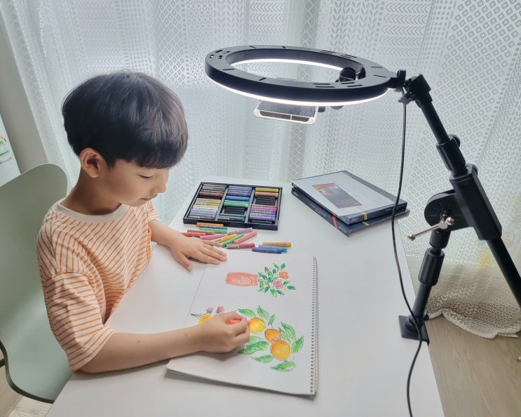  유튜브촬영장비 : 스마트폰거치대로 찍어본 오일파스텔 그림