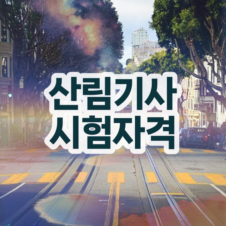  산림기사 전망 산림기사 시험응시조건 온라인 수업으로 15주 동안 완료한 팁