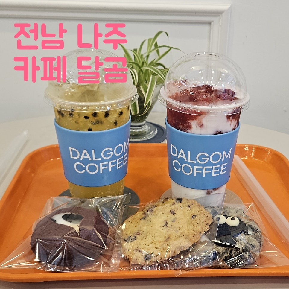 달곰 사진 1