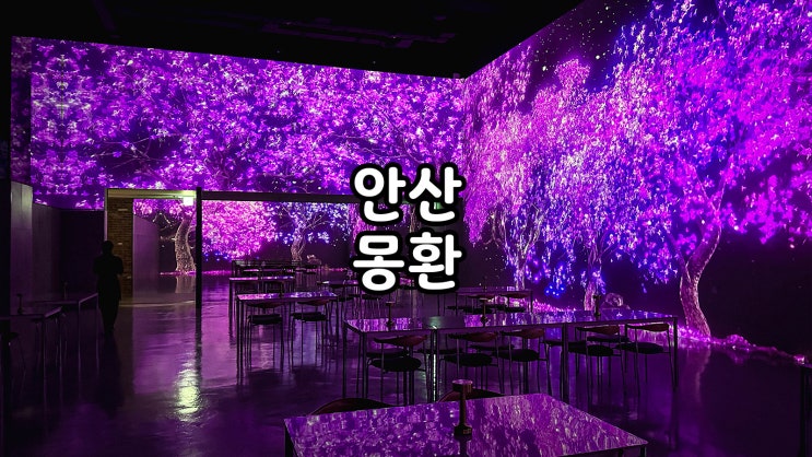  안산미디어아트 카페 레스토랑 몽환