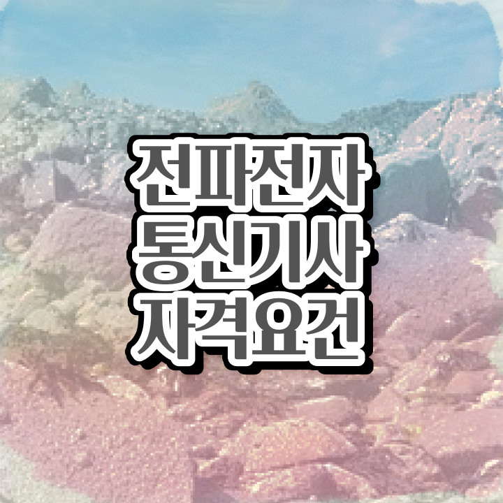  전파전자통신기사 응시자격 집에서 온라인으로 15주만에 준비한 후기