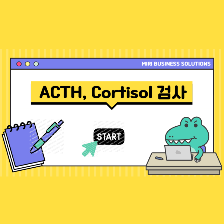  ACTH, 코티솔 (cortisol) 검사 이유에 대해서