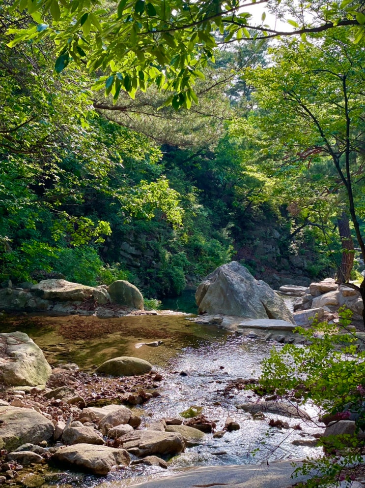  진관사 오후5시 북한산국립공원 피크닉 :: 진관사멧돼지 출몰 :: 운동화착용필수 :: 진관사계곡절경