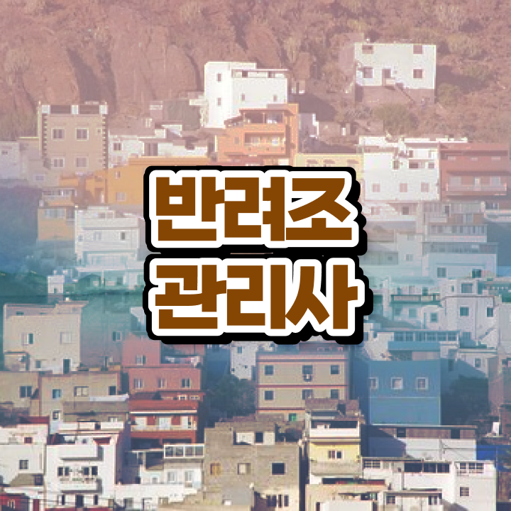  대형 앵무새 종류 , 반려조관리사 자격증 취득했던 후기 확인해보세요