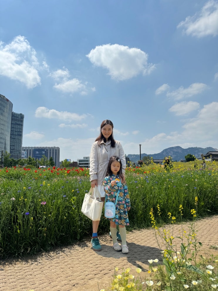  열린송현,서울시 녹지 광장 경복궁옆 꽃밭 (날씨 좋은 토요일 여기 구경 갈까?)