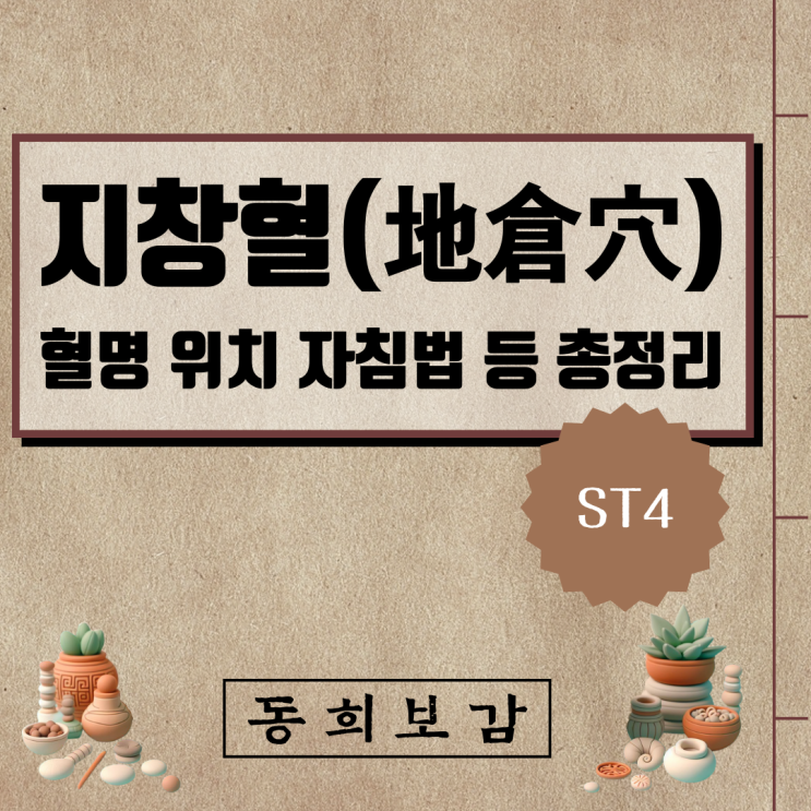  지창혈(地倉穴) ST4, 소속경맥 혈명 위치 특성 자침법 등 총정리
