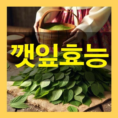 깻잎 효능 부작용 하루 권장량 자세히