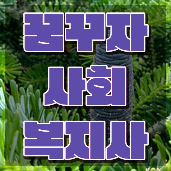  부산 사회복지사업이란 . 사회복지사2급 관련학위 없어도 학점은행제 활용하여 편하게