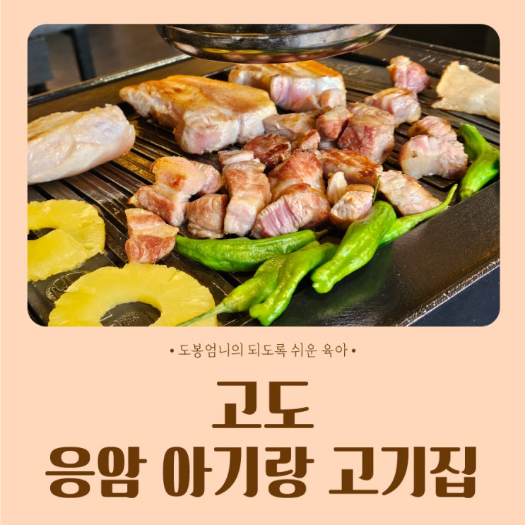 은평 아기랑 고기집 응암역 고도 구워주는 숙성고기 내돈내산