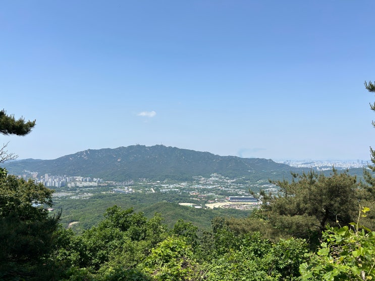  [청계산역 맛집] 들밥나들이 제육볶음 들밥정식 내돈내산 찐후기