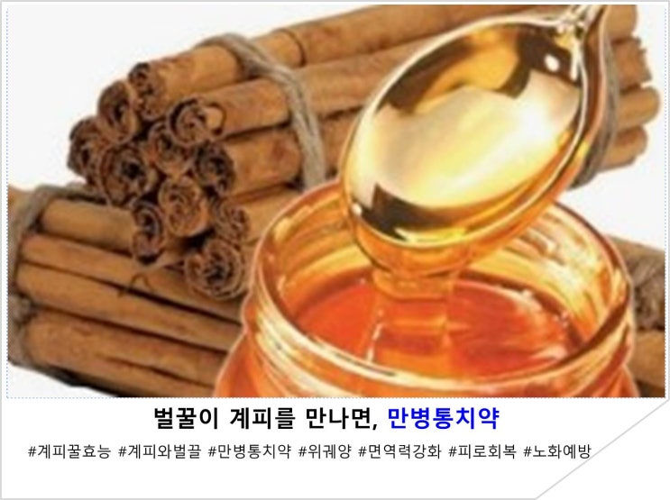  벌꿀이 계피를 만나면, 만병통치약