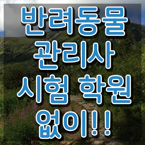  반려동물 직업 , 반려동물관리사 자격증 응시자격 없이 준비한 방법 , 취업정보