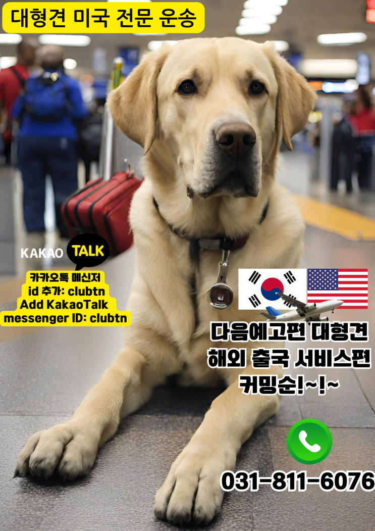  고양이 강아지 대형견 반려견 반려동물 핸드캐리 동반 해외 운송 동물 카고 수하물 검역 출국 서류 픽업 서비스