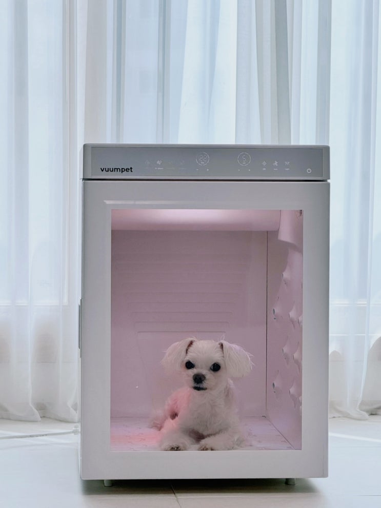  강아지 드라이룸 털말리기 간편한 붐펫 단델리온 애견 펫드라이룸