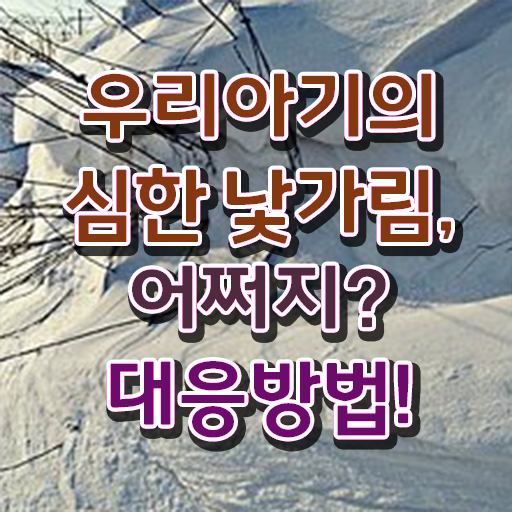  아동소통지도사 특강 , 아동소통지도사 자격증 합격정보 최단기간 취득한 과정