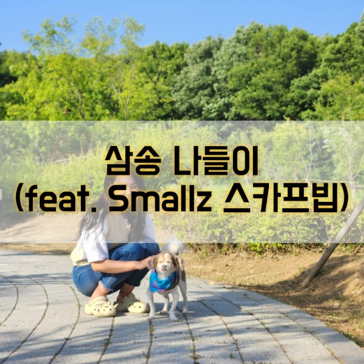  주말 여유로운 산책하고 왔어요(애견용품 스몰즈 스카프빕)