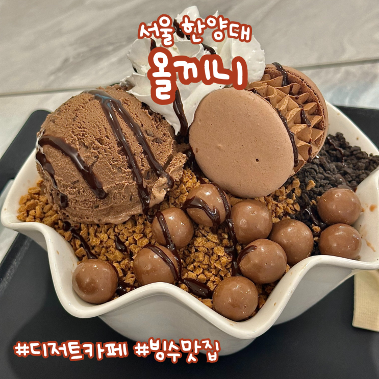  왕십리 카페 | 한양대 앞 빙수가 맛있는 디저트 맛집 | 올끼니