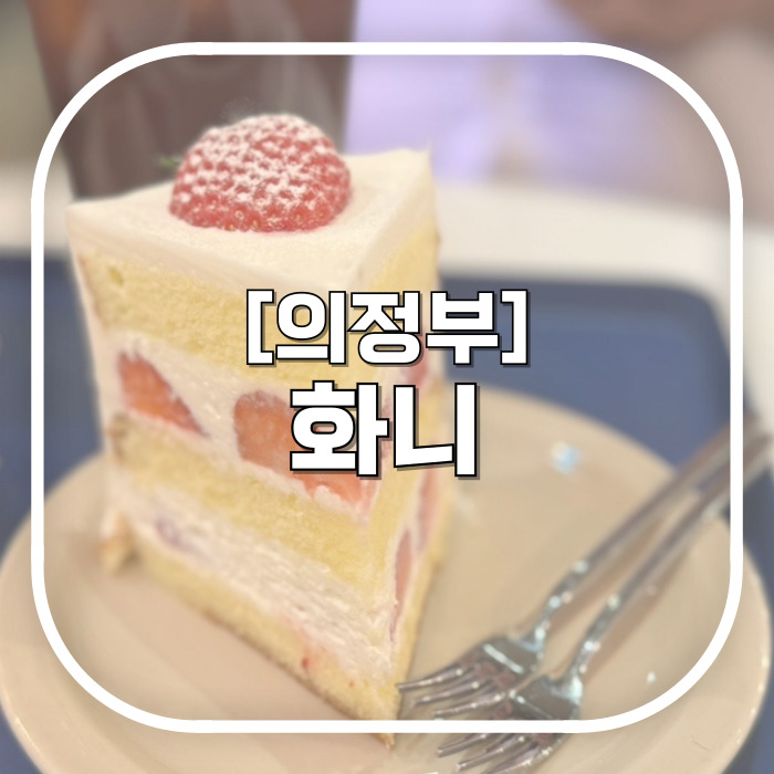  [의정부] 화니 / 모든 걸 직접 만드는 생크림케익맛집 의정부 케이크