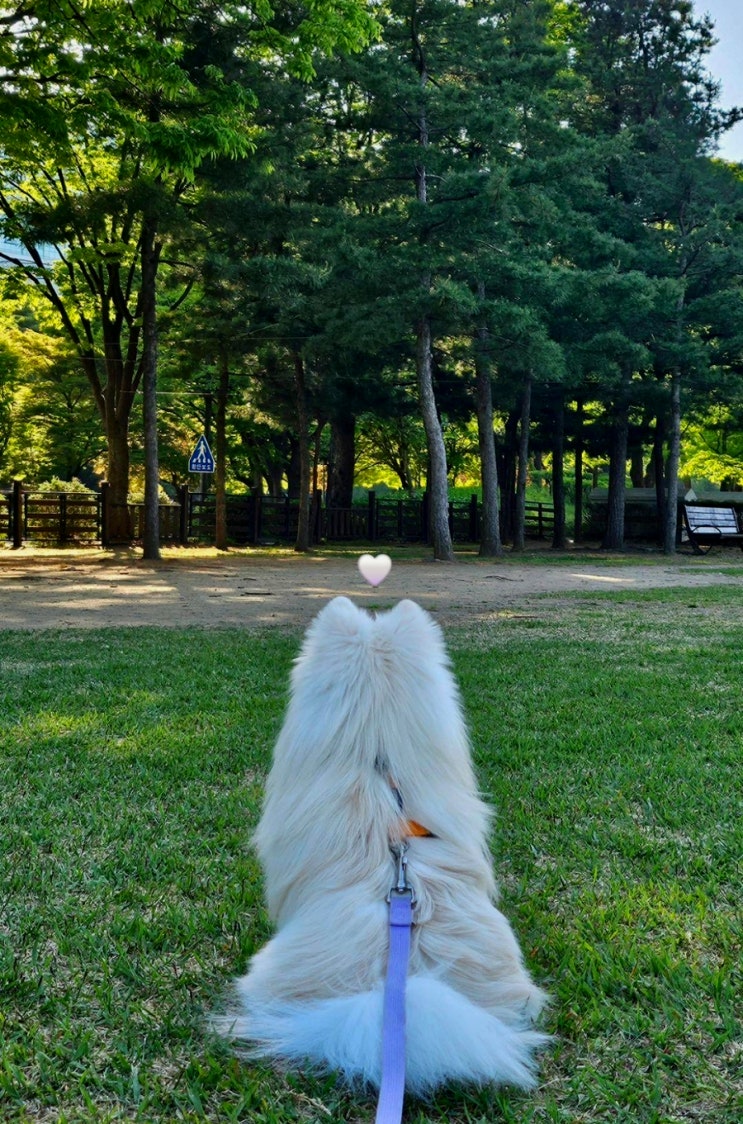  [일상] 잔잔한 하루가 모여 행복이