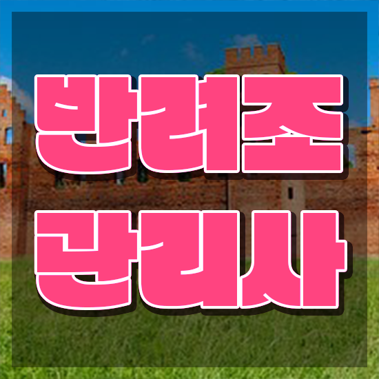 왕관앵무새 수명 , 반려조관리사 자격증 20일 만에 학습 전격분석 왕관앵무새 수명 , 반려조관리사 자격증 20일 만에 학습 전격분석
