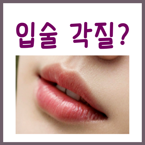  입술 각질 정리법? 이 3가지만 지켜보세요