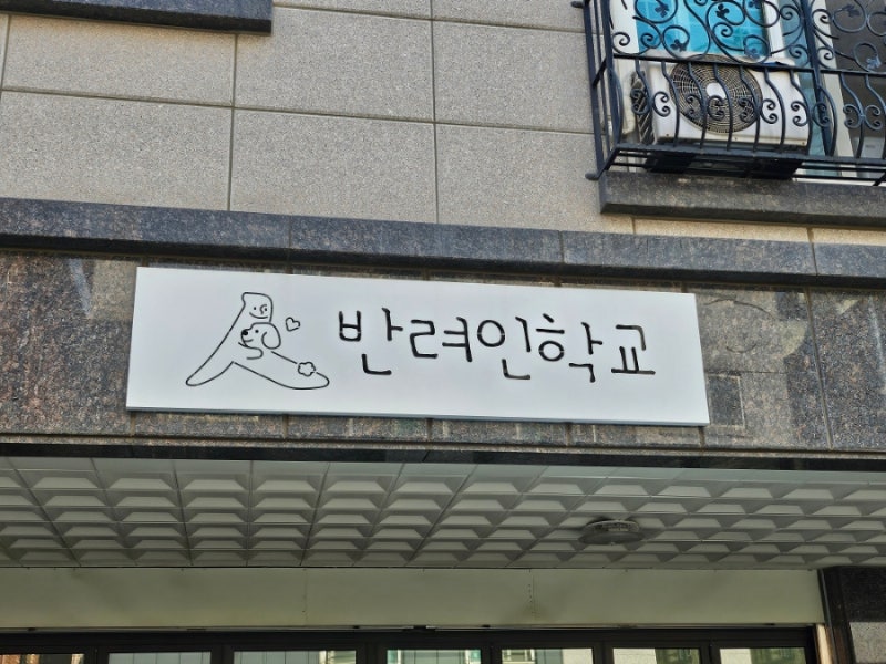 사진 3