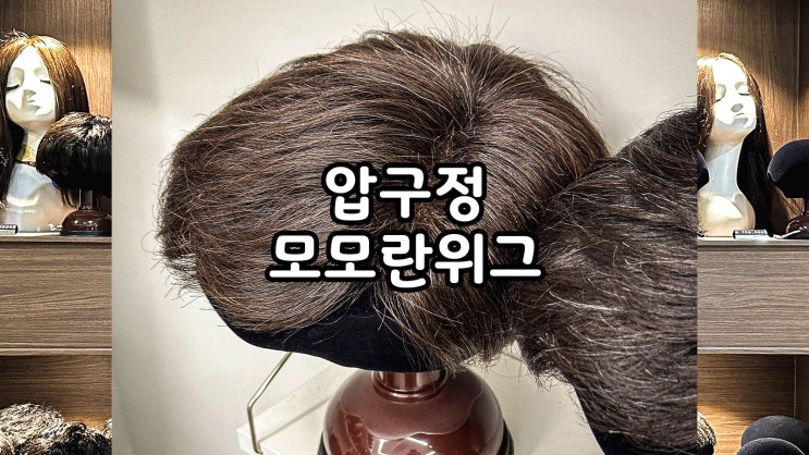  압구정 맞춤 가발 모모란위그 강남압구정점