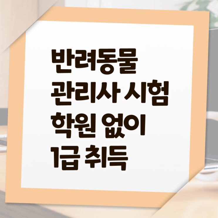  한국반려동물 , 반려동물관리사 자격증 취득한 방법 알아보기
