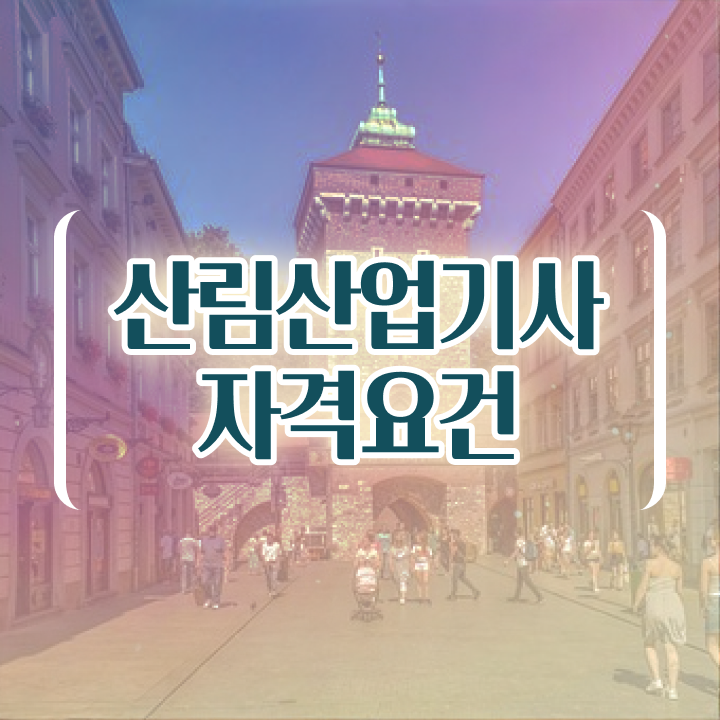 산림산업기사취업 산림산업기사 응시자격 온라인 수업으로 빠르게 완료한 후기