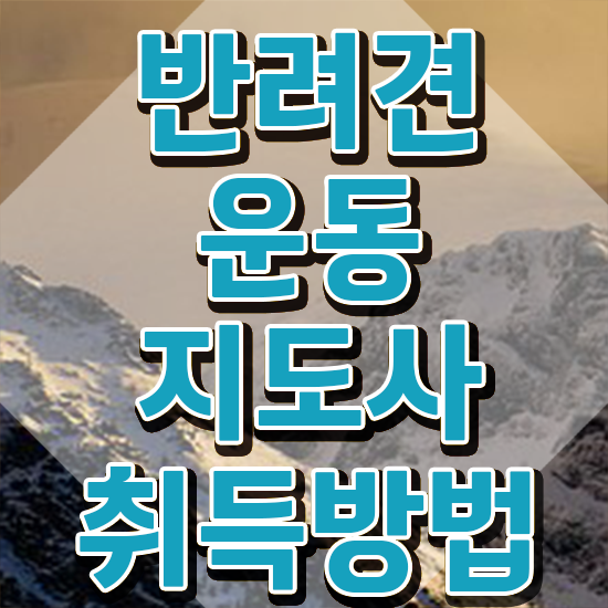  40대남자자격증 , 반려견운동지도사 일하면서 최단기간 끝냈던 비법