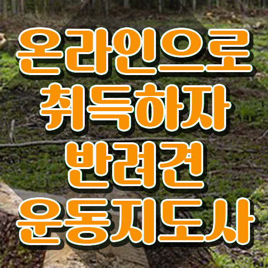  40대 자격증 추천 , 조건없이 반려견운동지도사 성공할 수 있어요