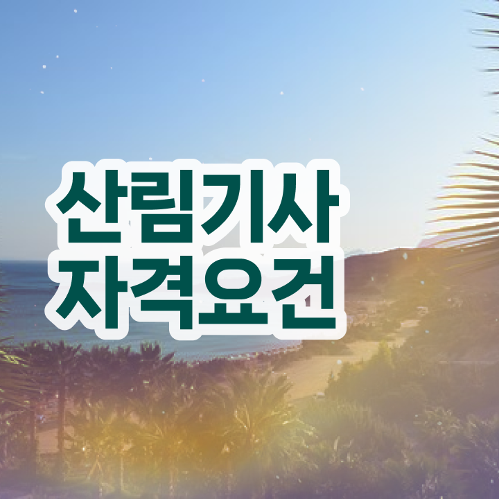  산림기사 시험 자격 산림기사 시험응시조건 온라인 과정으로 빠르게 완료한 노하우