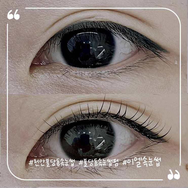  천안불당동속눈썹 토탈뷰티샵 이엘속눈썹 속눈썹펌후기