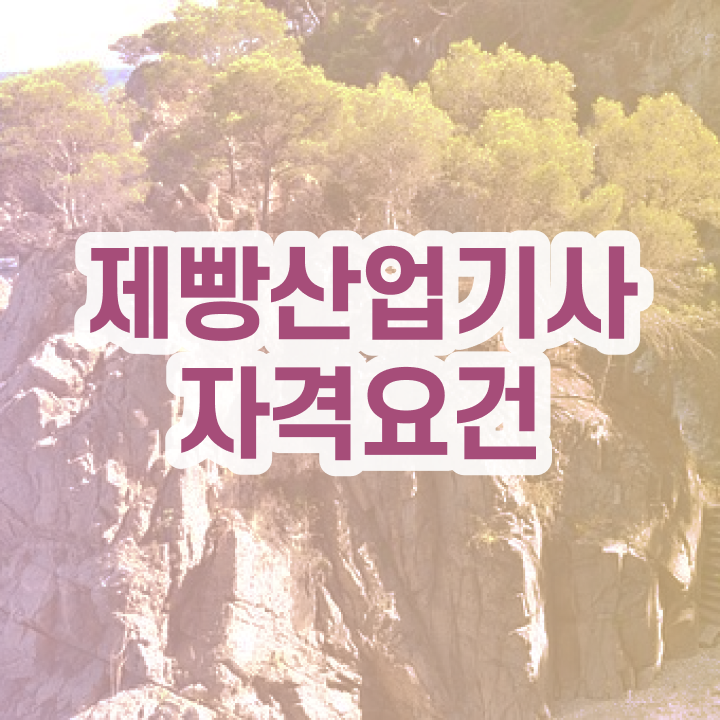  제빵산업기사 응시조건 제빵산업기사 시험응시조건 인강으로 반 년만에 준비한 전략
