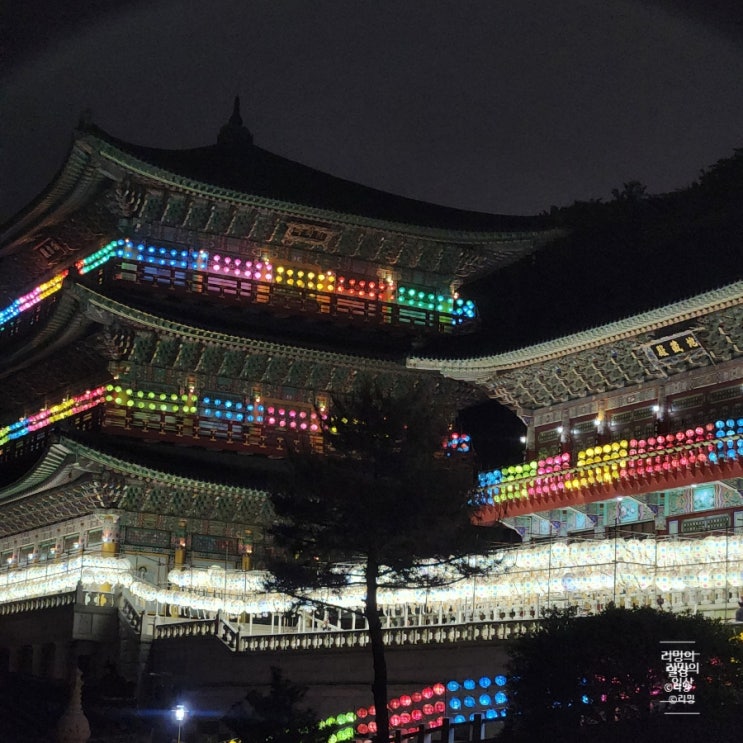 2024 부산 삼광사 연등축제 (주차 정보)