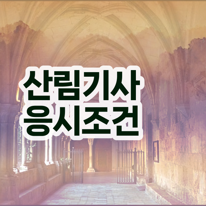  산림기사 준비물 산림기사 자격요건 온라인으로 간편하게 끝낸 팁
