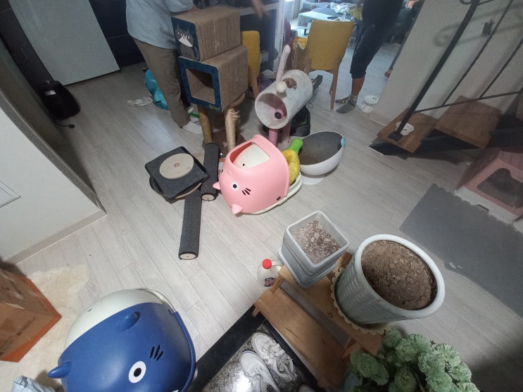  강동구 생활폐기물 성내동 묵은 살림살이 처리 및 테라스 정리 잘해드렸습니다