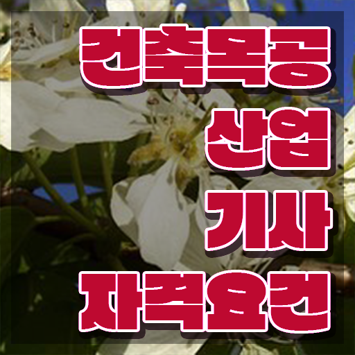  건축목공산업기사 취득자격 인강으로 빠르게 끝낸 후기