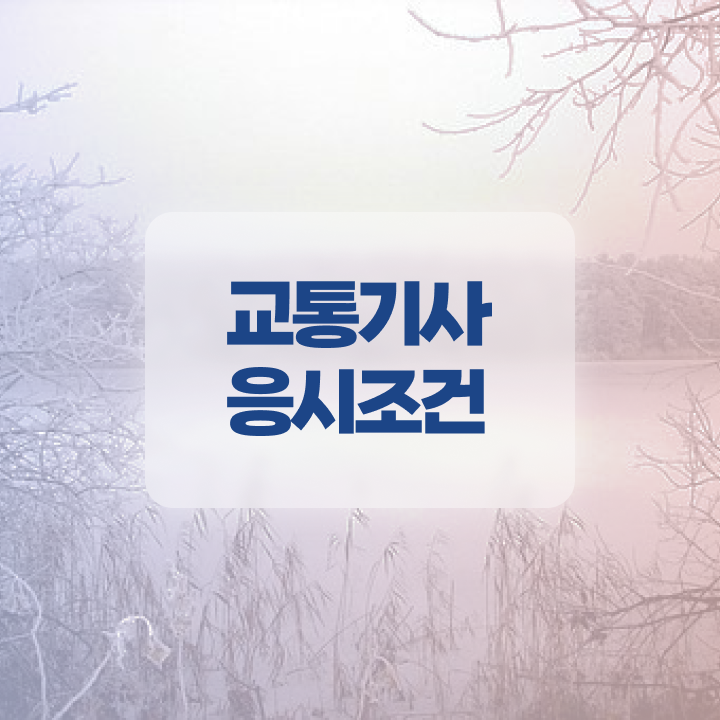  교통기사취업 교통기사 시험응시자격 인강으로 쉽고 빠르게 완료한 노하우
