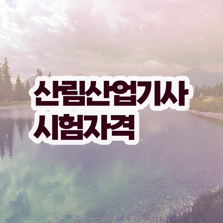 산림산업기사 필답 산림산업기사 자격요건 온라인 수업으로 1학기에 완료한 과정