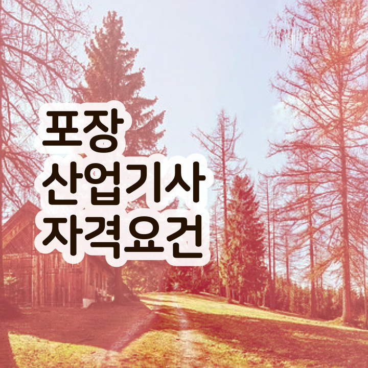  포장산업기사 자격요건 학점은행제로 15주만에 끝낸 후기