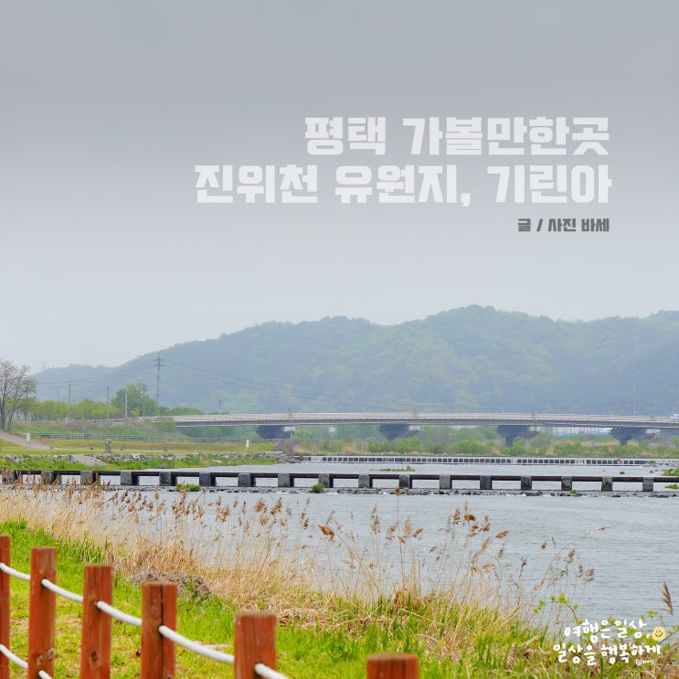  평택 가볼만한곳 진위천 유원지와 맛집, 데이트