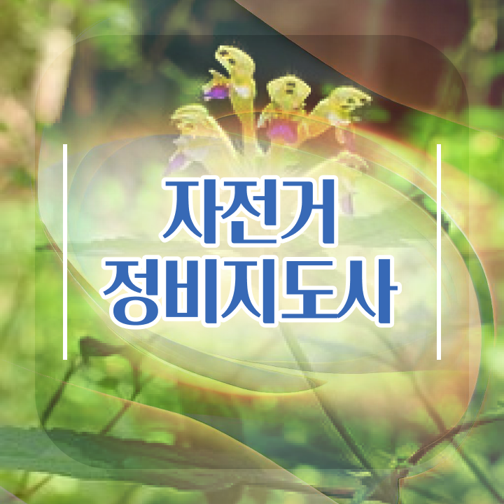  자전거분해정비 , 자전거정비지도사 자격증 준비한 방법 정리