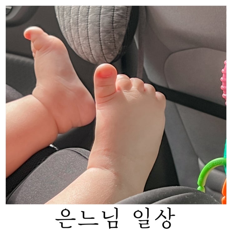  [은느님 일상]너가 태어난 여름이 다가오는 구나