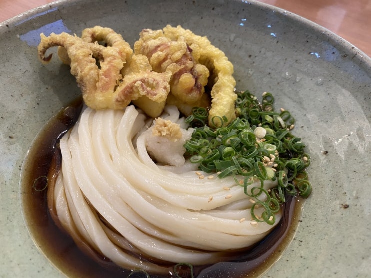  전주 여행 신시가지 밥집 우동 맛집 세이토