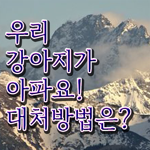  반려동물관리사 자격증 , 반려동물관리사 자격증 쉽고 빠르게 취득과정 확인해보세요