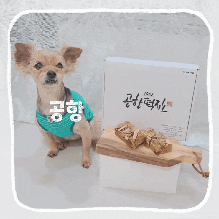  약밥맛집 공항떡집 약식 보관 편한 냉동떡 떡선물 추천