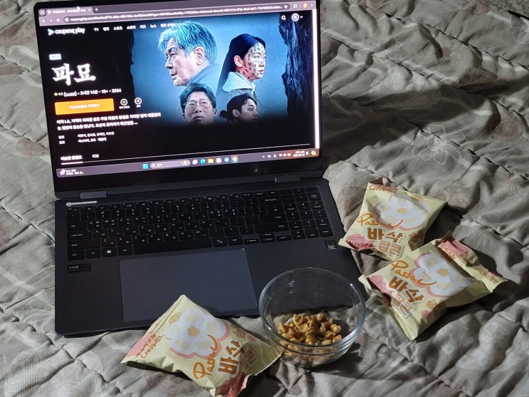  바삭팝콘 먹으면서 쿠팡플레이로 파묘 보기!!!