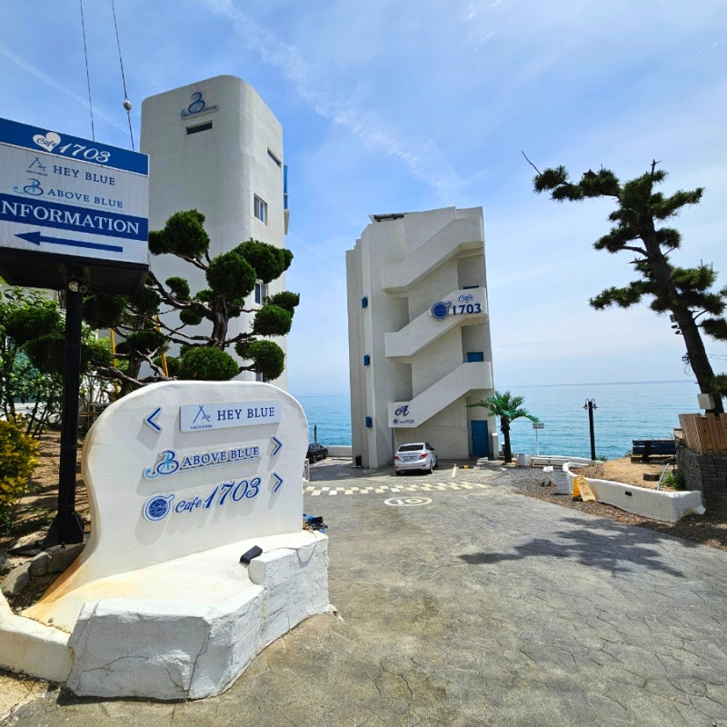사진 5
