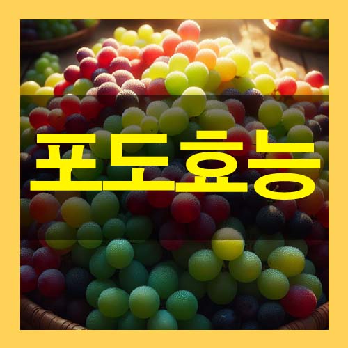  포도 효능 부작용 종류 알고 먹자